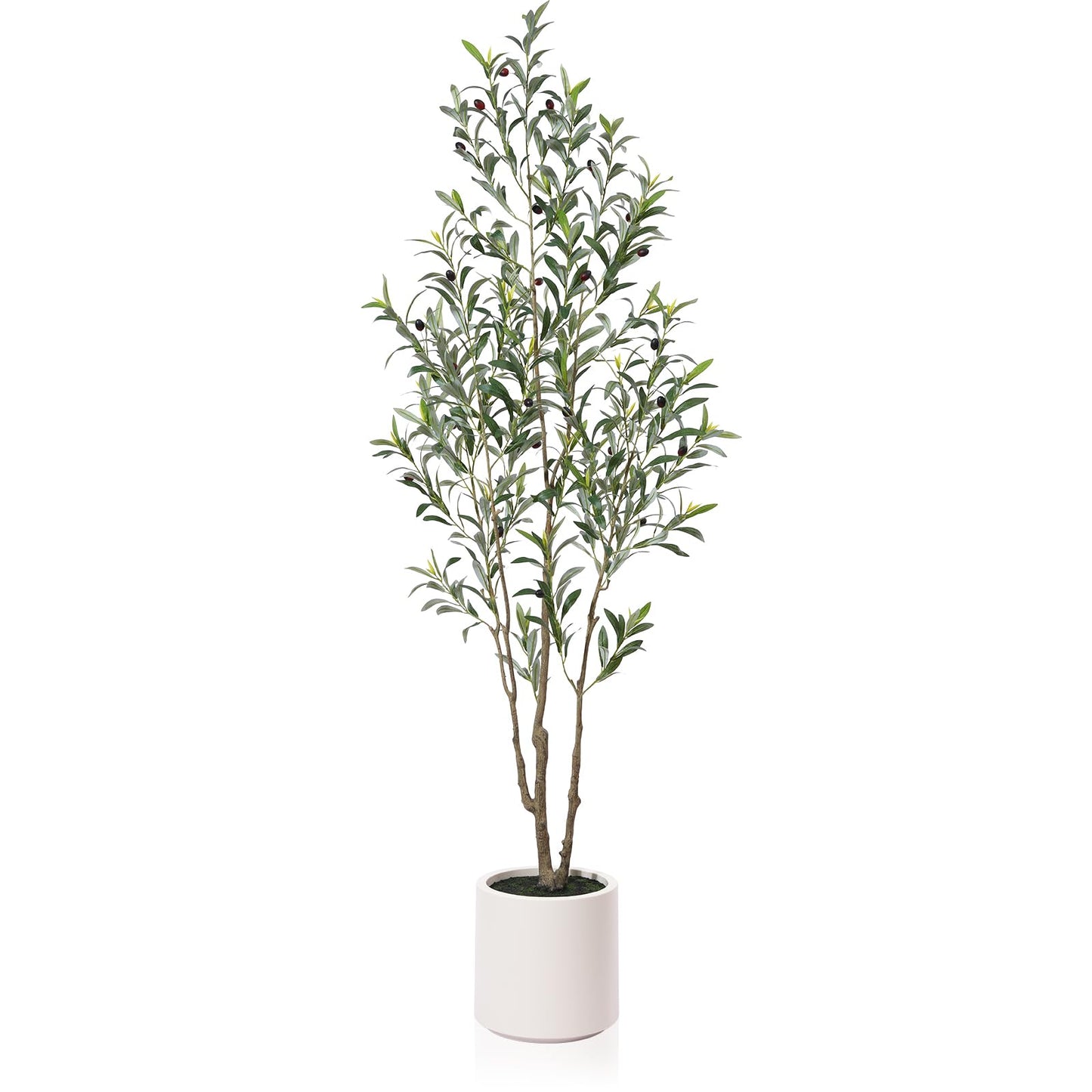 LOMANTO Artificial Olive Trees, 5 ft Tall Fake Olive Trees for Indoor, Faux Olive Silk Tree, Large Olive Plants with White Planter for Home Decor and Housewarming Gift, 1 Pack