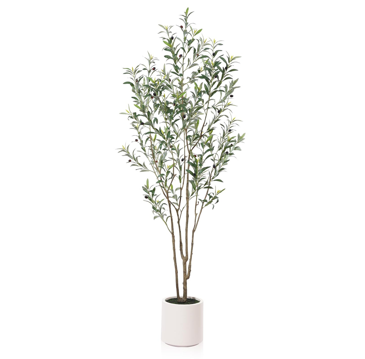 LOMANTO Artificial Olive Trees, 5 ft Tall Fake Olive Trees for Indoor, Faux Olive Silk Tree, Large Olive Plants with White Planter for Home Decor and Housewarming Gift, 1 Pack